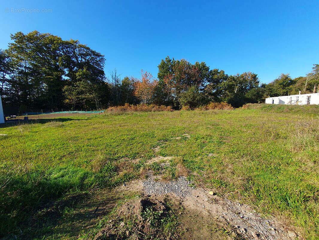 Terrain à QUIMPER