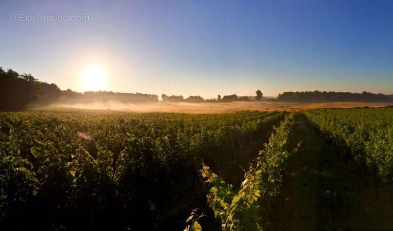 Domaine Viticole Éco-responsable à Vendre - photo 3