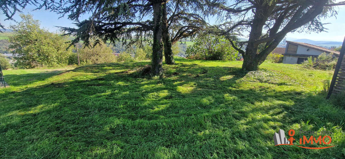 Terrain à SAINT-JOSEPH