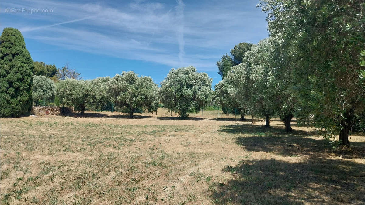 Terrain constructible exceptionnel. - photo 4