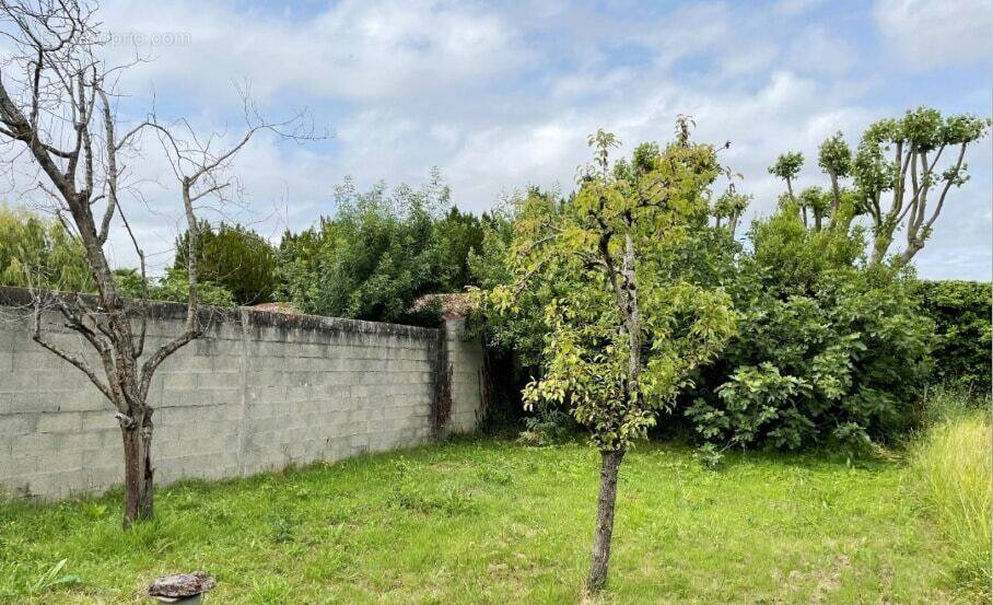 Terrain à ROCHEFORT