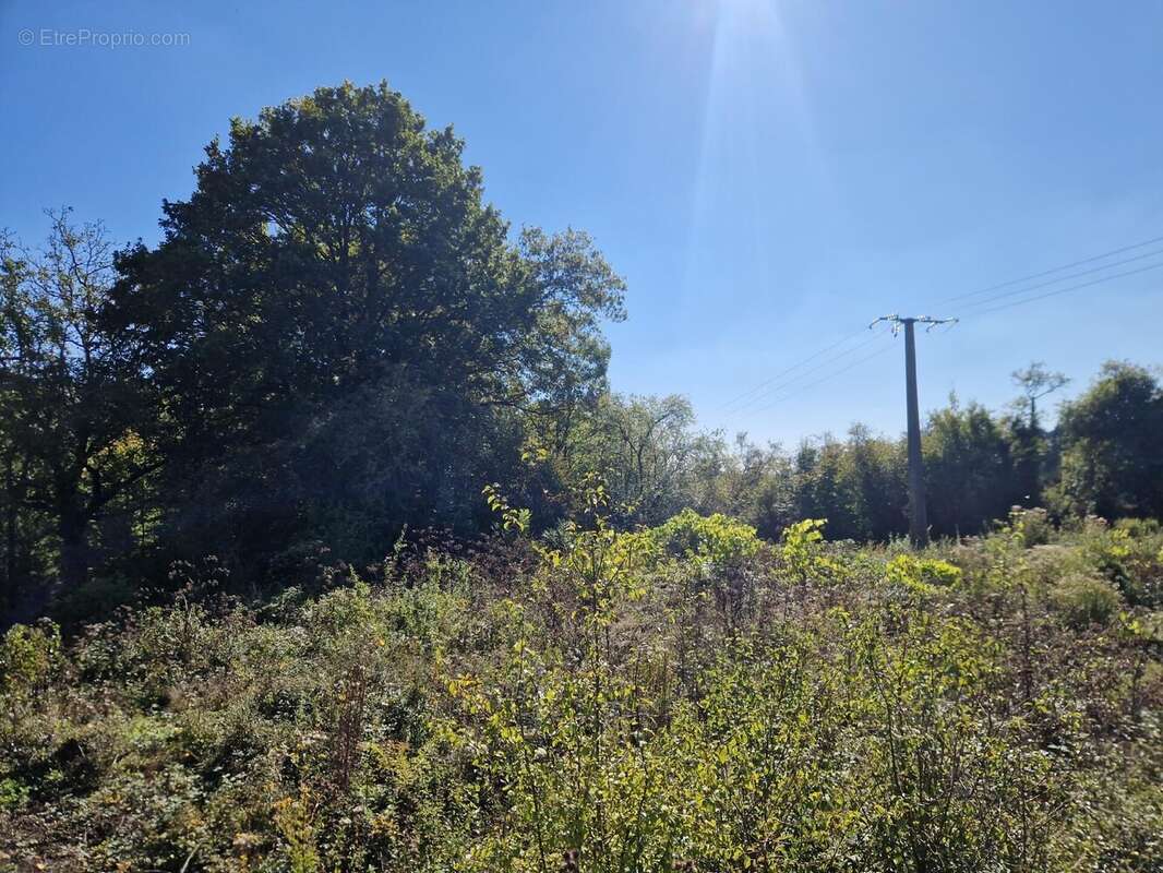 Terrain à SARREGUEMINES