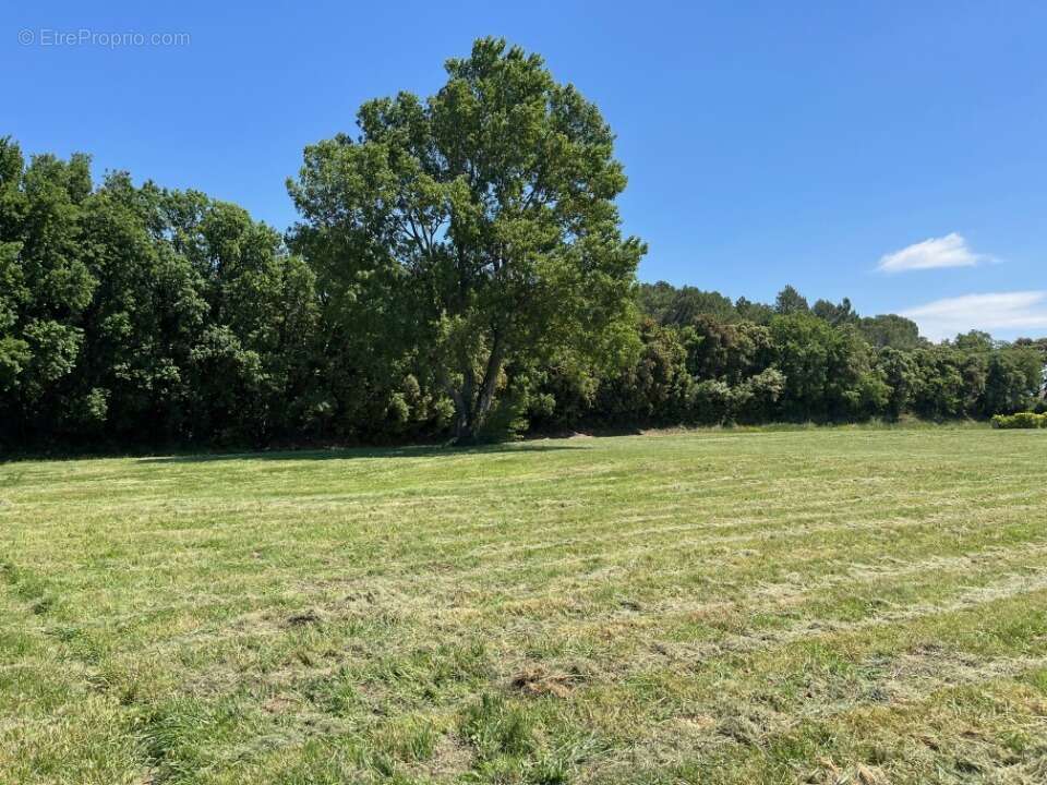 Terrain à BOLLENE