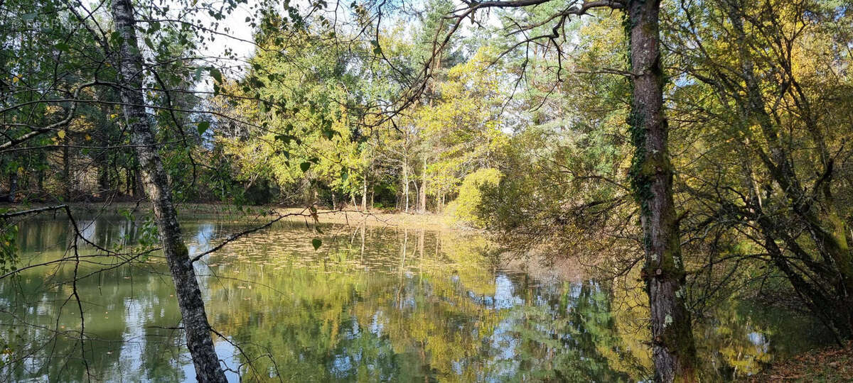 20251105_142501 - Terrain à PIEGUT-PLUVIERS