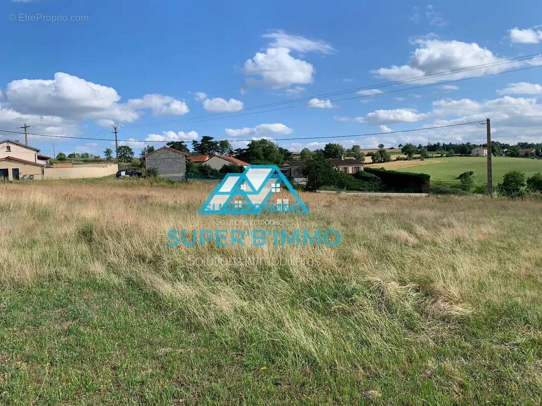 Terrain à VIEILLE-BRIOUDE