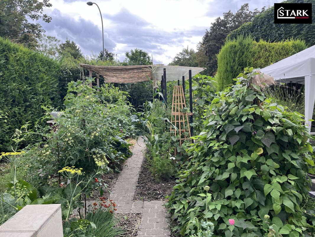 Maison à RIEDISHEIM