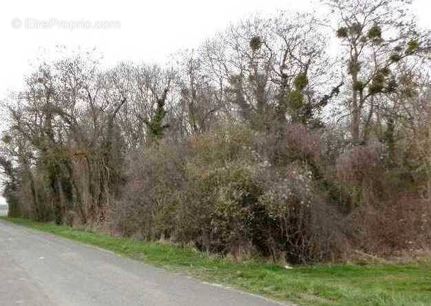Terrain à MONTJAVOULT