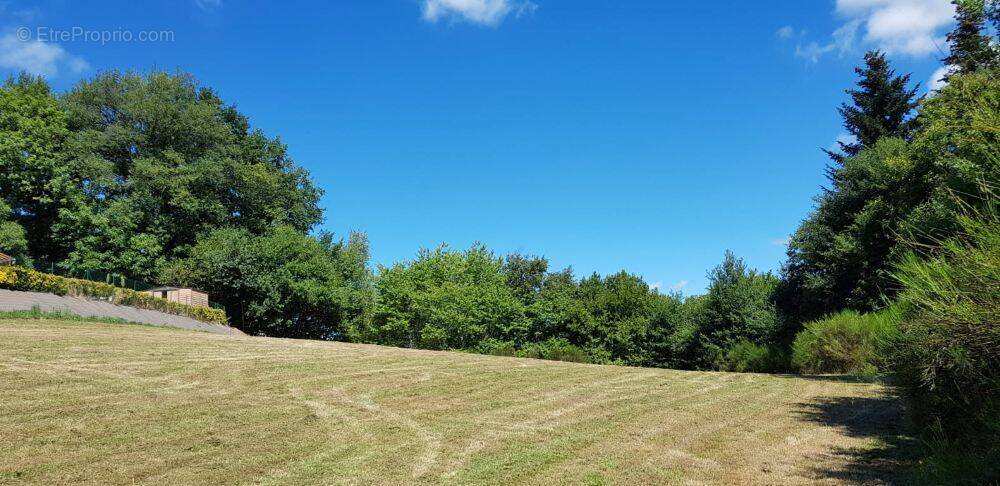 Terrain à SAINT-MARTIN-LA-MEANNE
