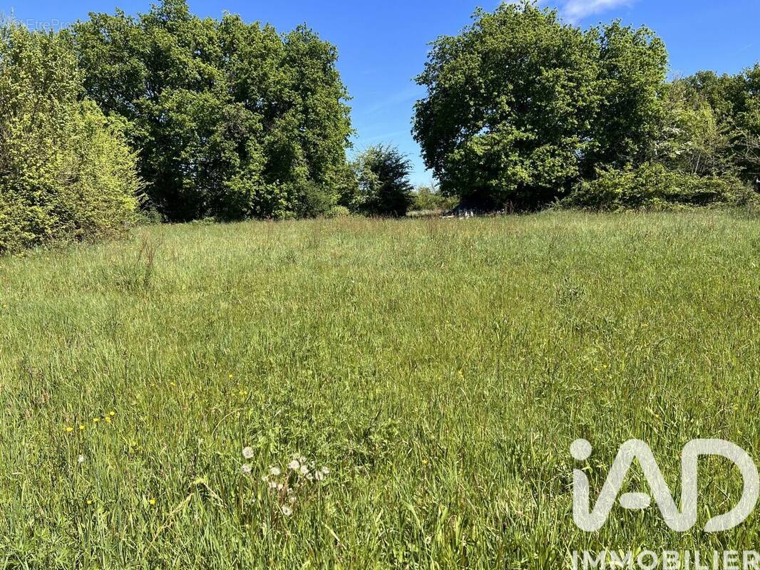 Photo 1 - Terrain à CHARROUX