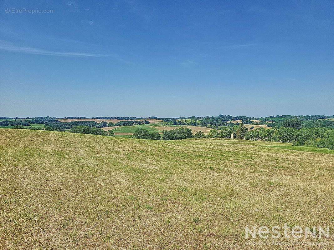 A Vendre Terrains à bâtir dans lotissement de douze lots à la campagne proche de Condom - photo 3