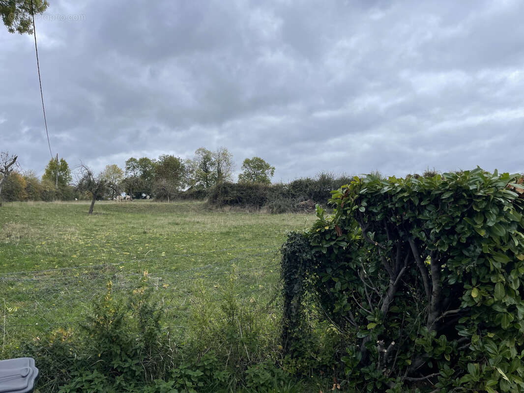 Maison à FONTAINE-LES-BASSETS