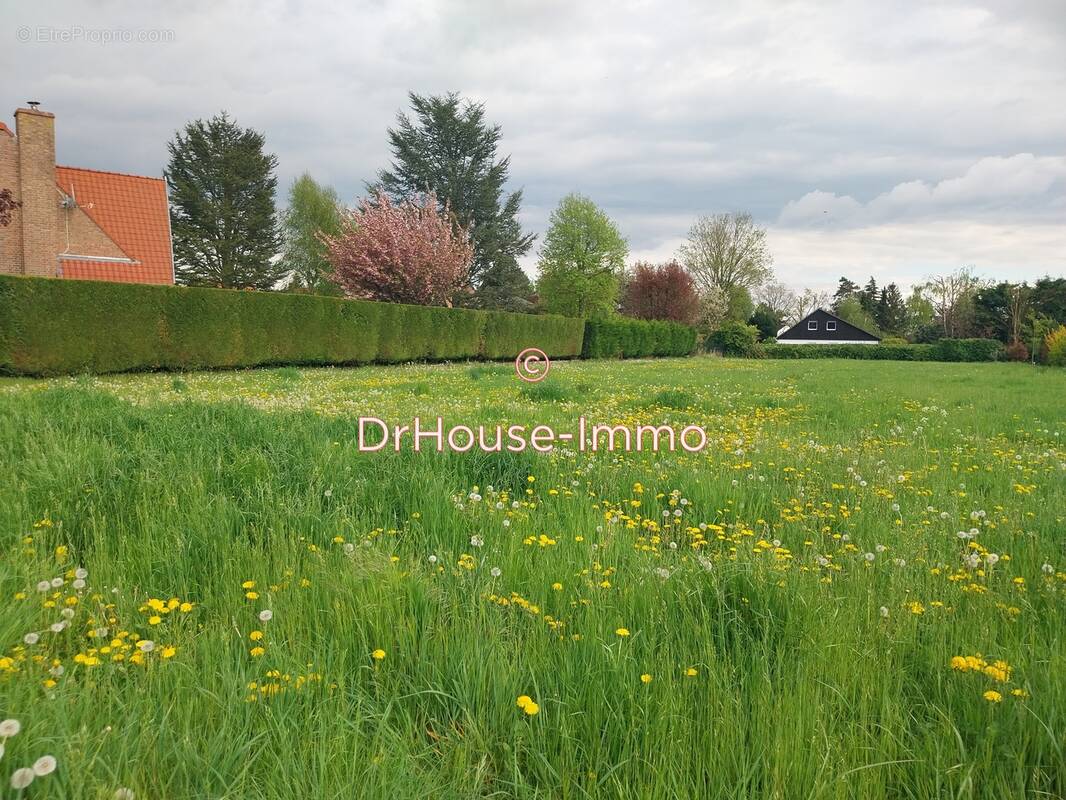 Terrain à SAINGHIN-EN-MELANTOIS