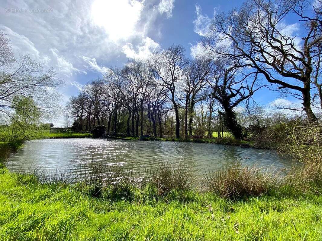 Maison à PLOUFRAGAN