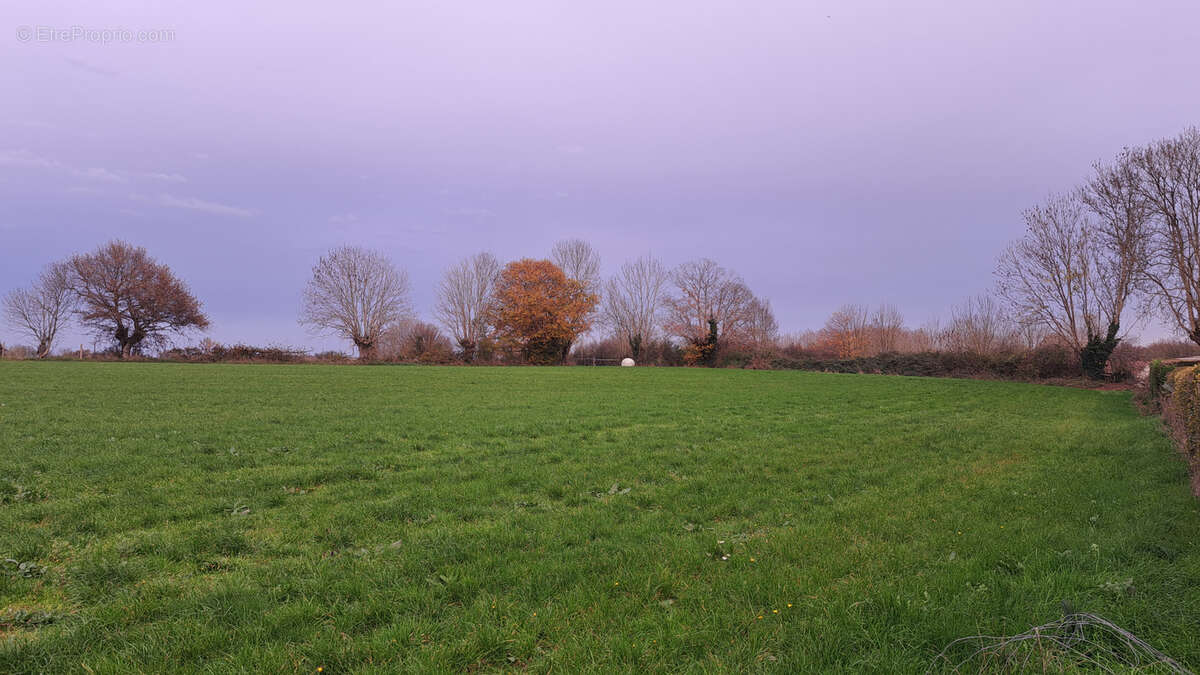 Terrain à SAINT-PARDOUX
