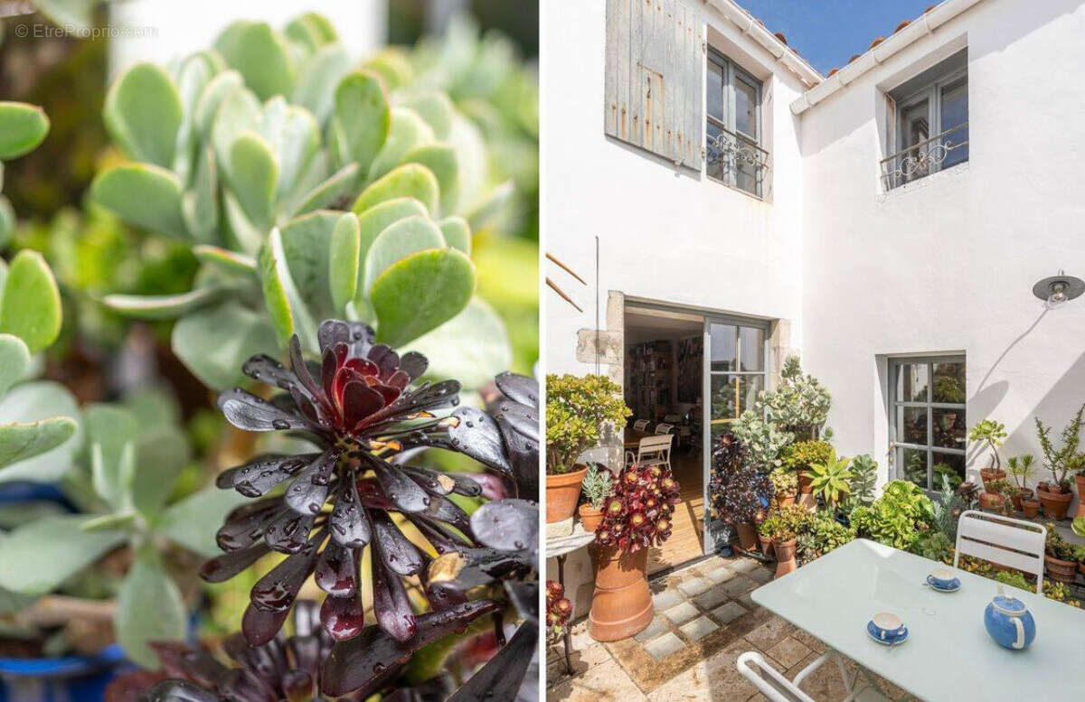 Appartement à ARS-EN-RE