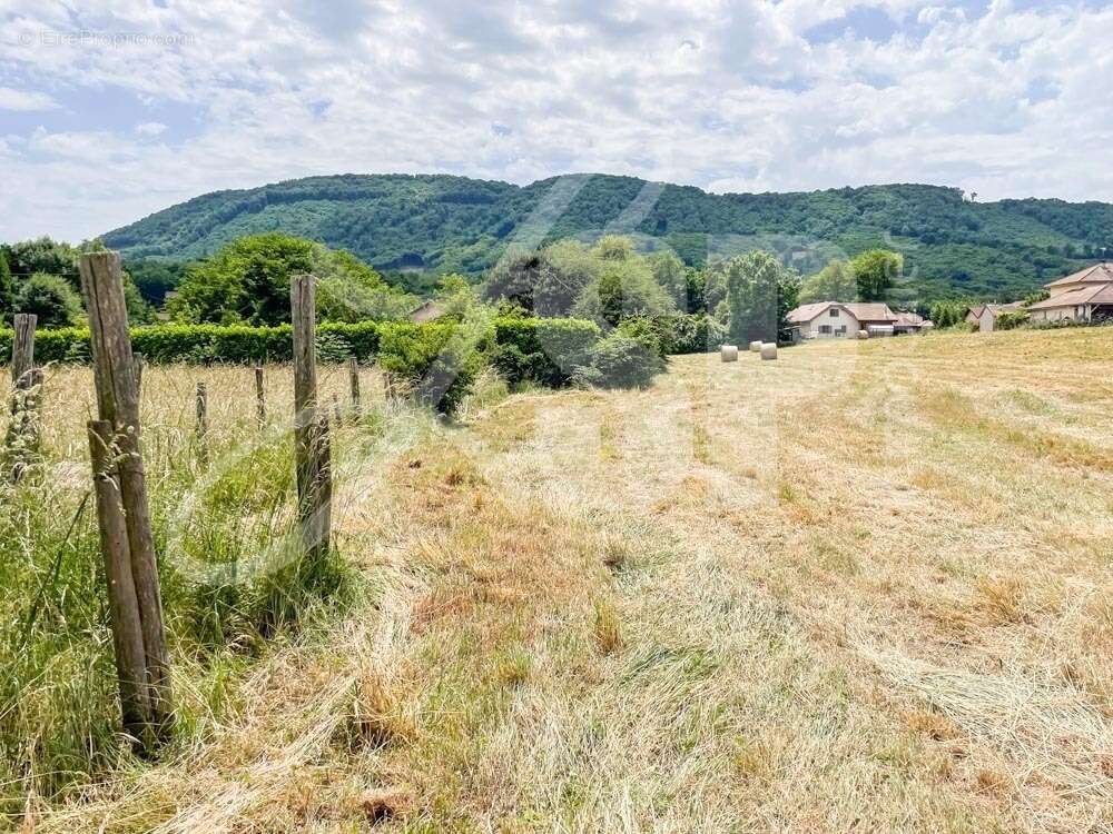 Terrain viabilisé (Lot 12) - Terrain à BEAUCROISSANT