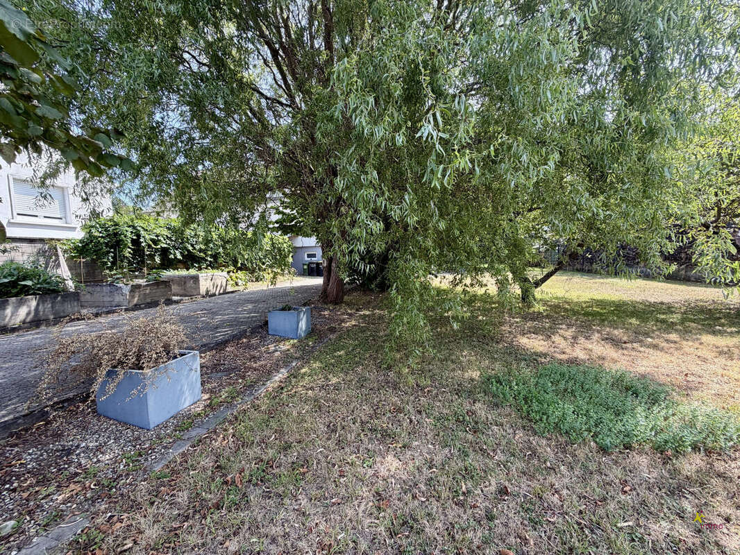 Terrain 472 m² à Gambsheim  - photo 3