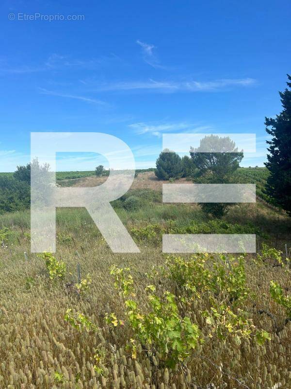 Terrain à BEAUVOISIN