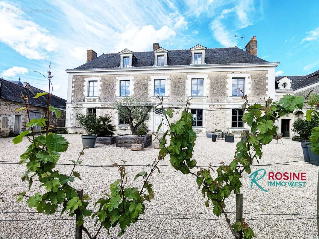 Maison 401 m² à Saint-Melaine-Sur-Aubance  - photo 4