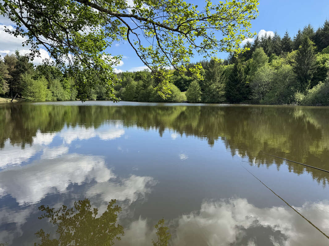 Terrain à LORMES