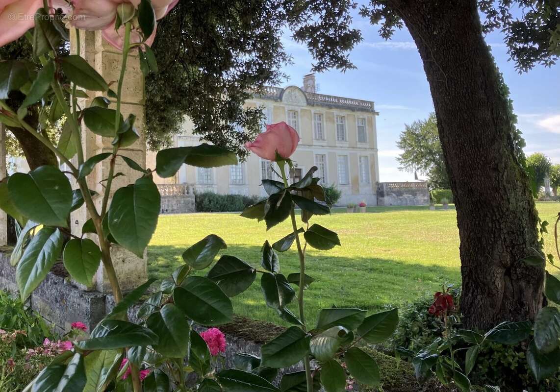 Magnifique appartement de vacances dans un château avec magnifique parc - photo 18