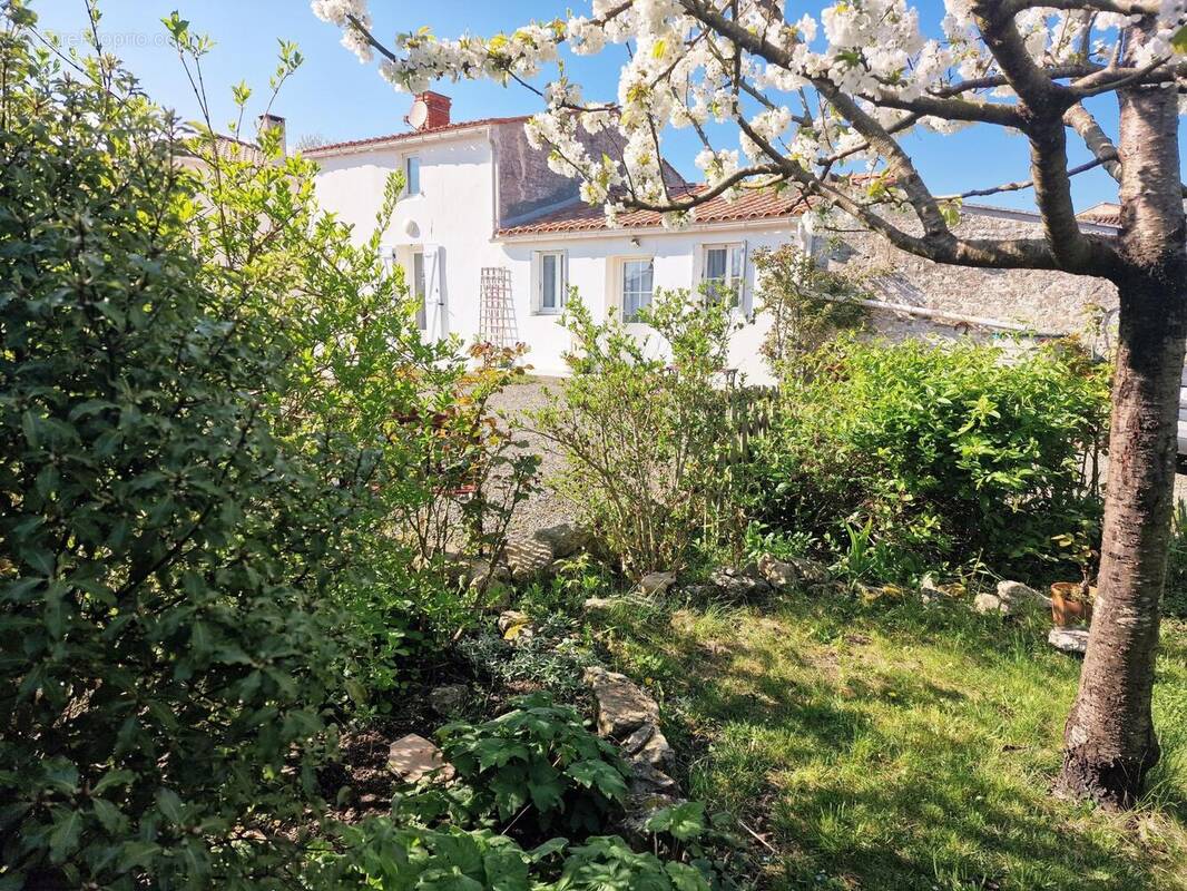 Photo 1 - Maison à CURZON