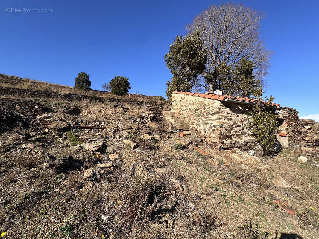Terrain à PORT-VENDRES