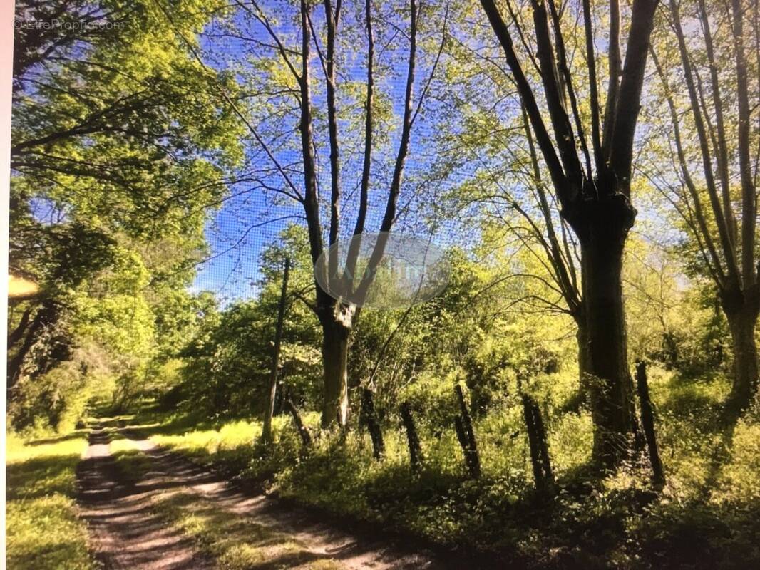 Maison à SAINT-PALAIS