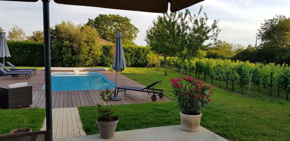 Belle girondine au calme avec vue sur les vignes + gîte haut de gamme - photo 13