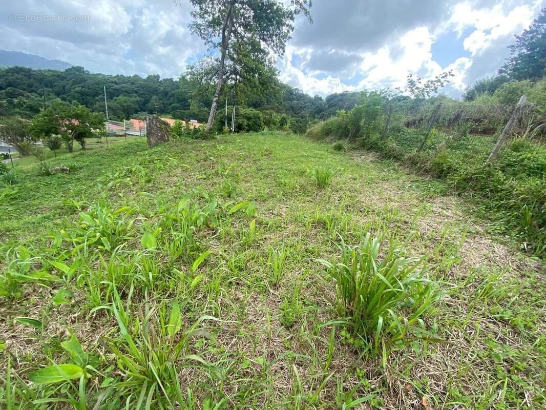 Terrain à LE ROBERT