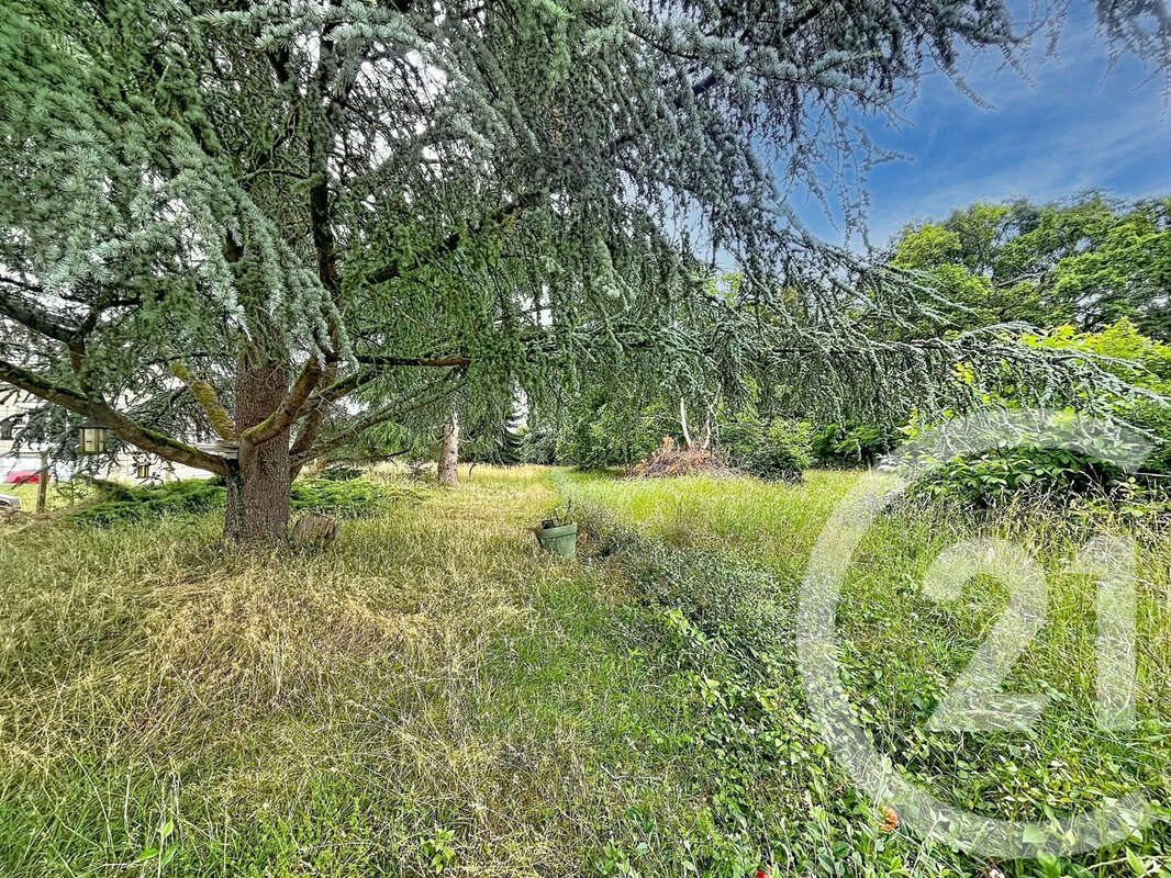 Terrain 12169 m² à Villeneuve-Sur-Yonne  - photo 2