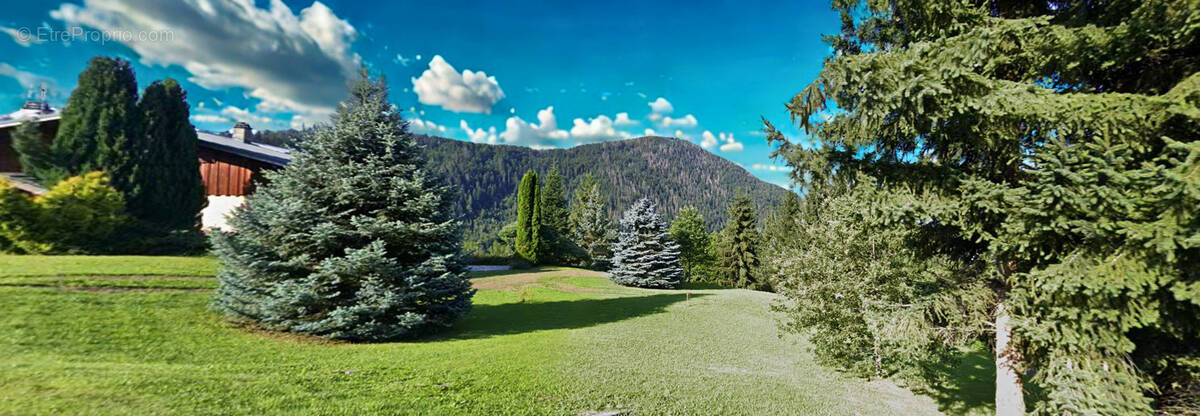 Terrain à SAINT-SIGISMOND