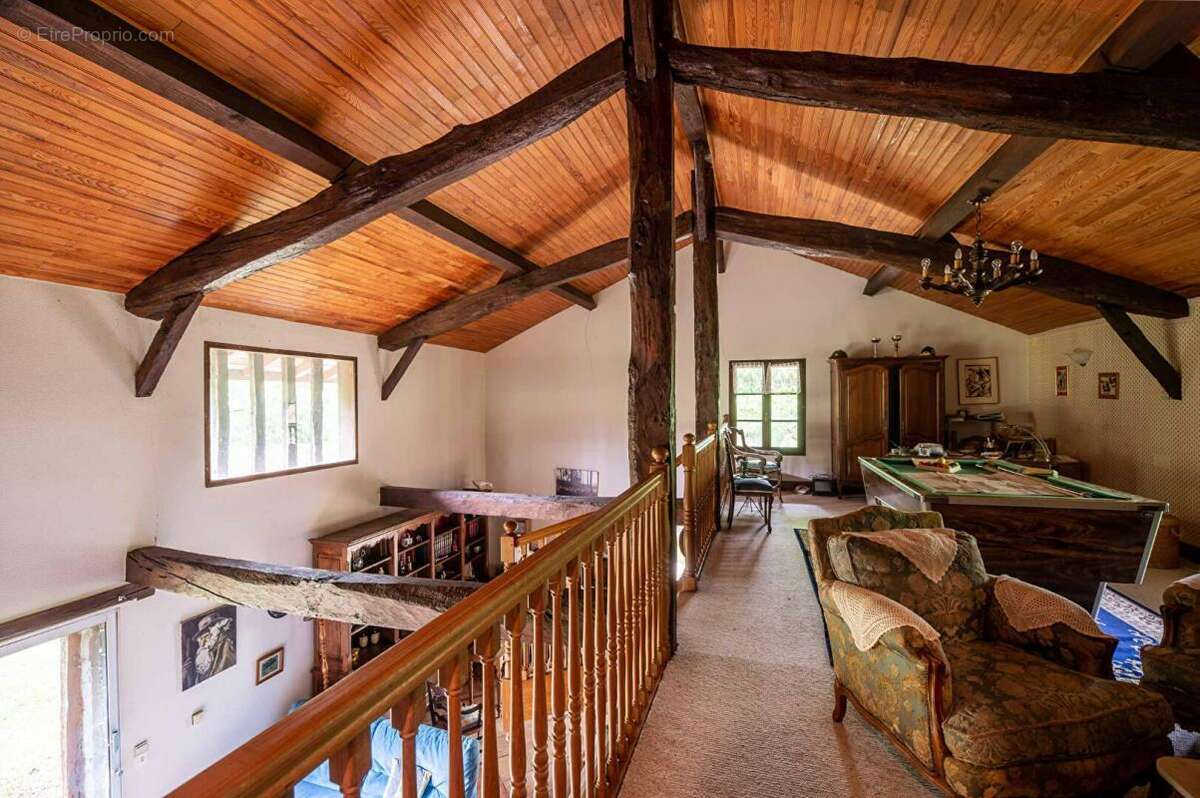 Maison Landaise entre pins et Océan - photo 13