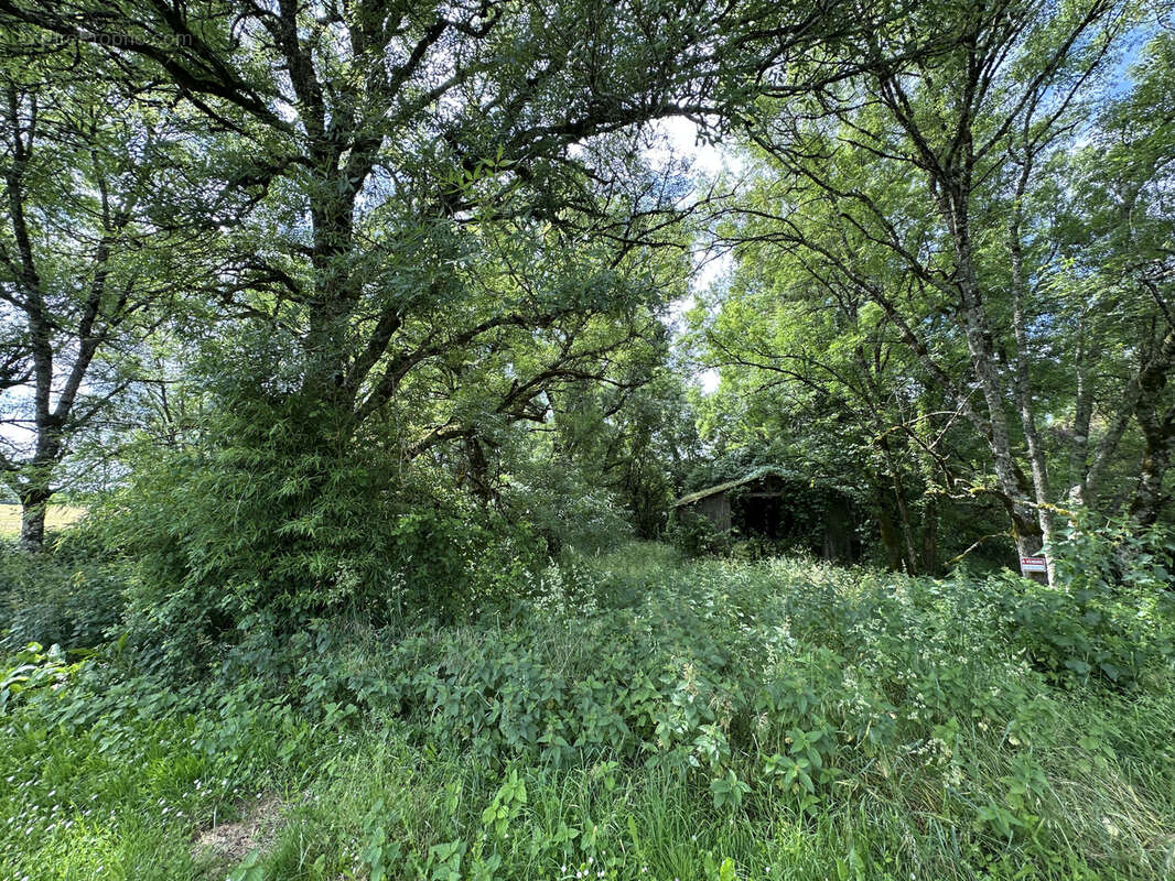 Terrain à CHENAUD