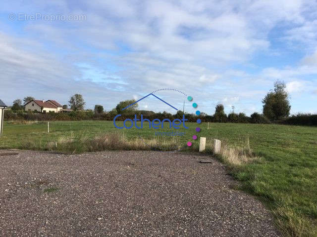 Terrain à SAINT-CHRISTOPHE-EN-BRIONNAIS