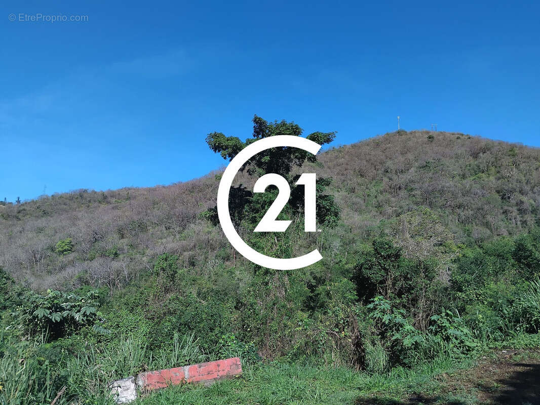 Terrain à BELLEFONTAINE