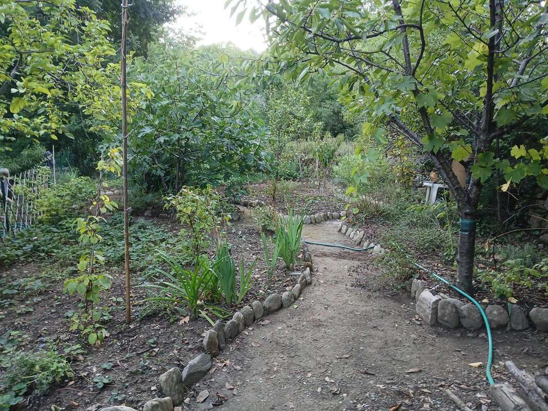 Photo 7 - Maison à OLARGUES