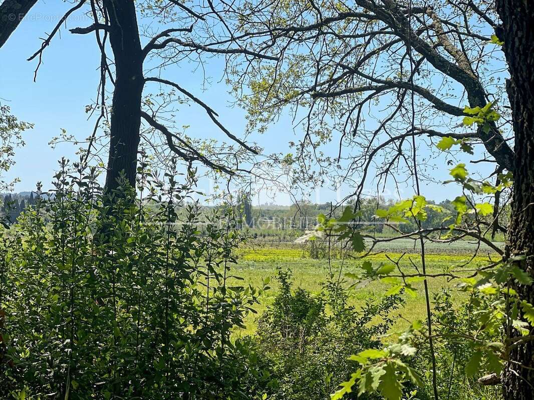 Photo 2 - Terrain à UZES