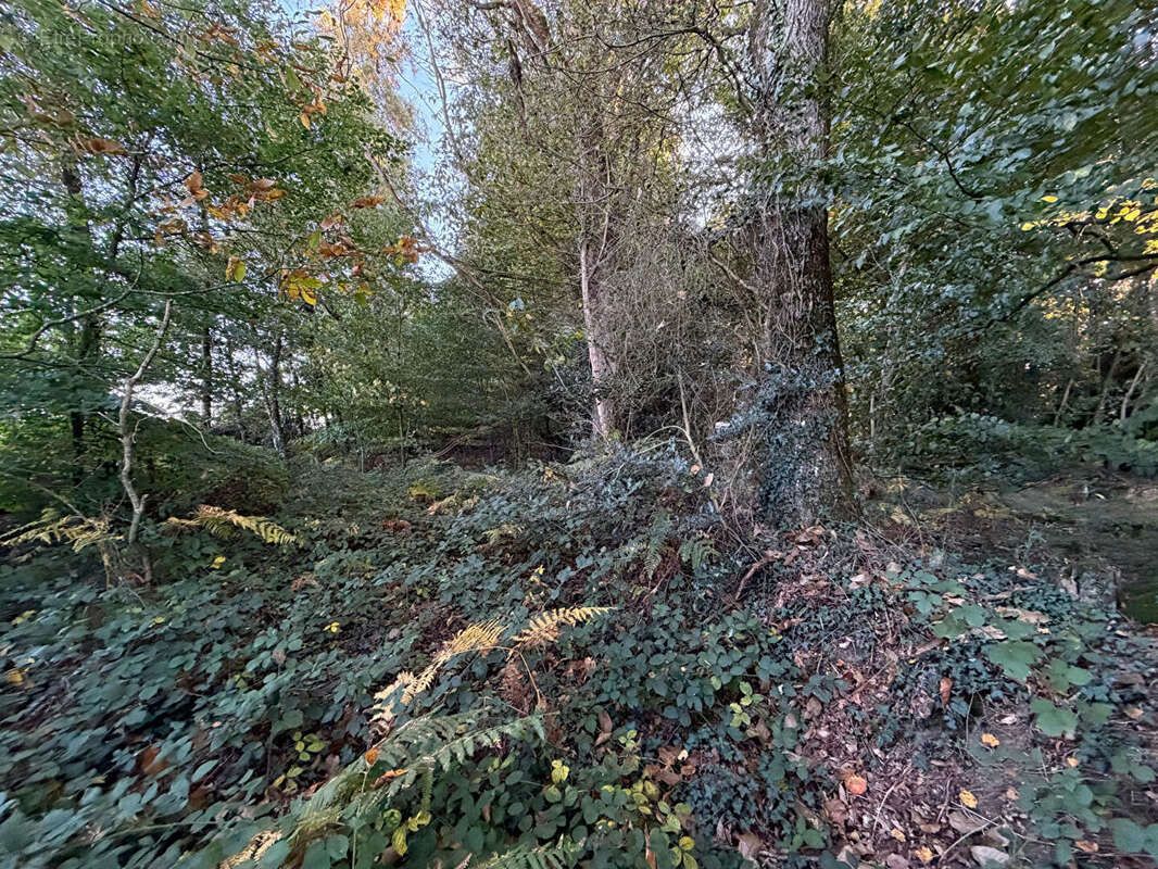 Terrain à GUILLIERS