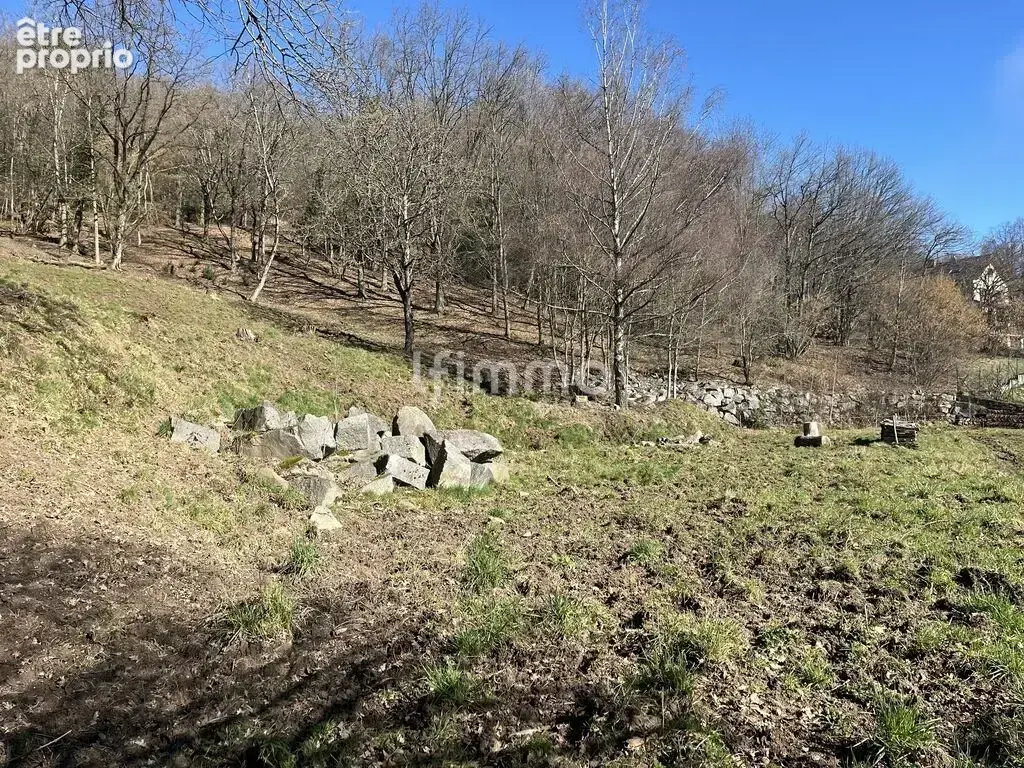 Propriété rare à Munster – Plus de 380 m² sur 1,6 hectare - photo 17
