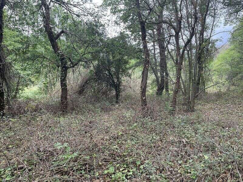 Terrain à MARQUIXANES