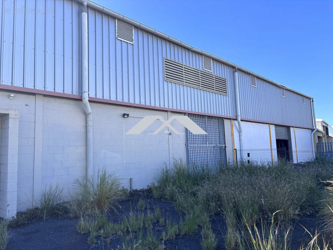 Commerce à SAINT-PIERRE