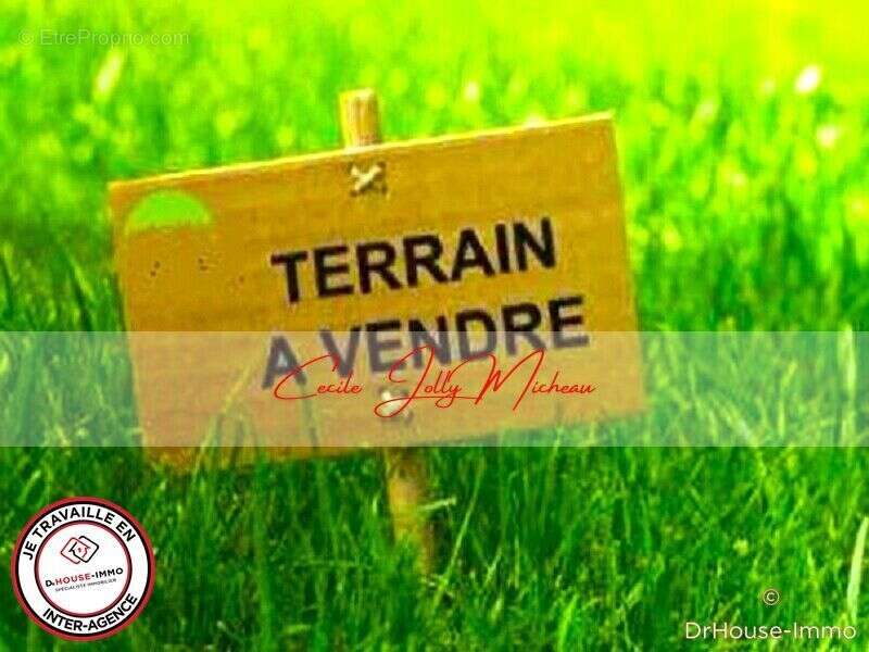 Terrain à BRAUD-ET-SAINT-LOUIS