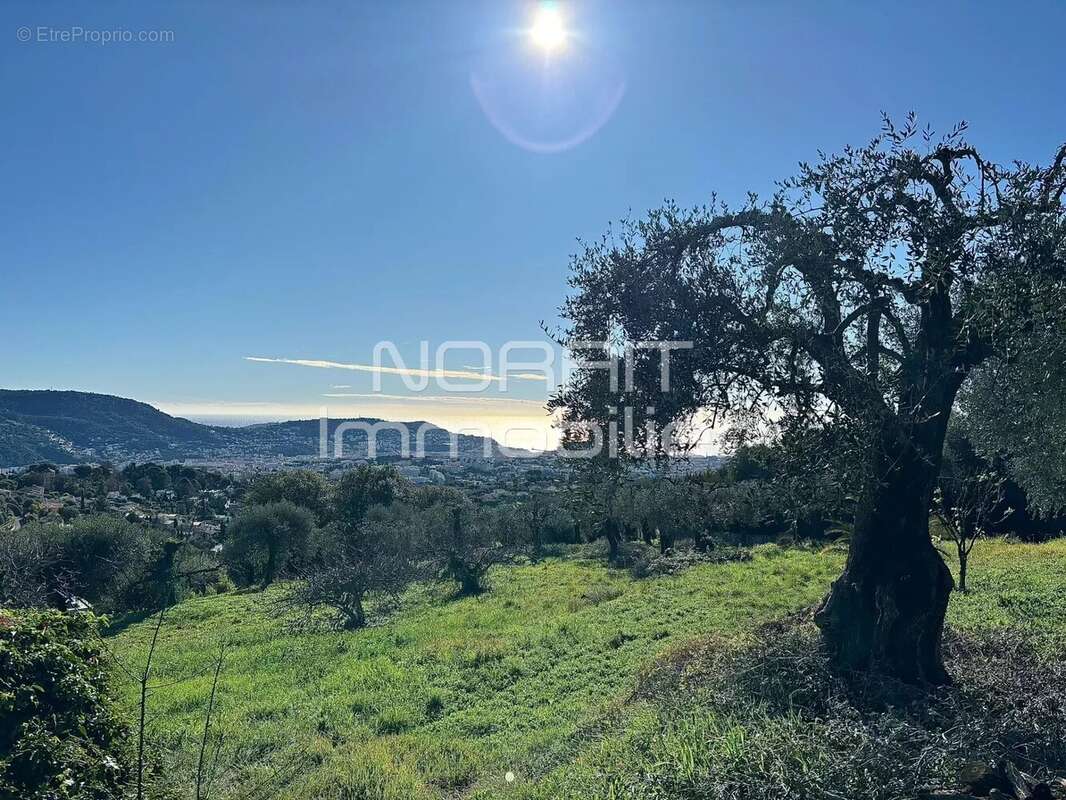 Terrain à NICE