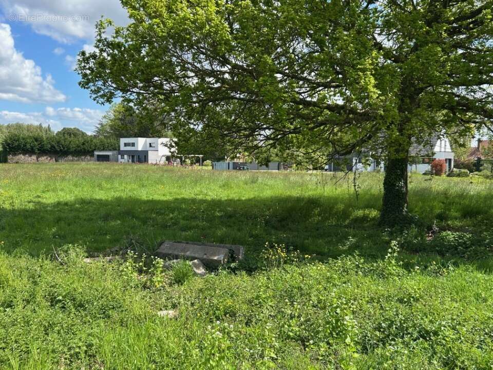 Terrain à RICHEBOURG
