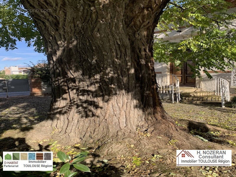 Maison à BLAGNAC