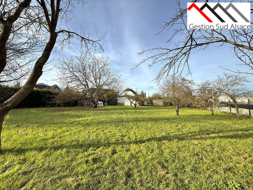 Terrain à WITTENHEIM