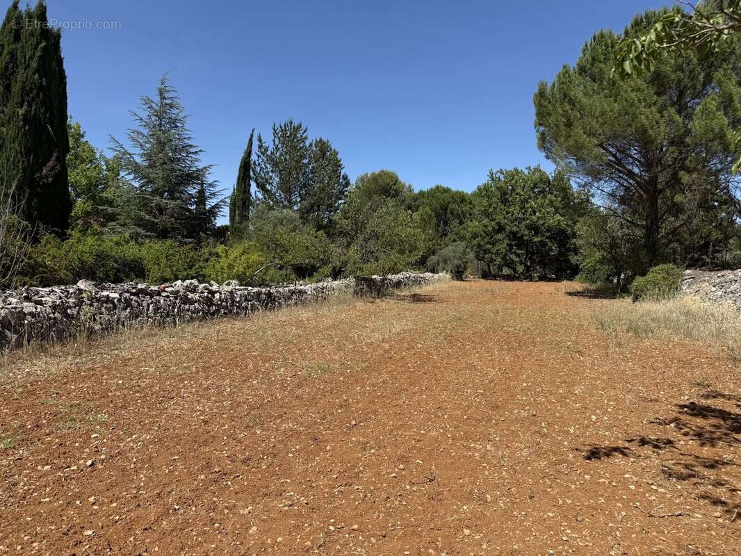 Terrain à SAINT-MAXIMIN-LA-SAINTE-BAUME
