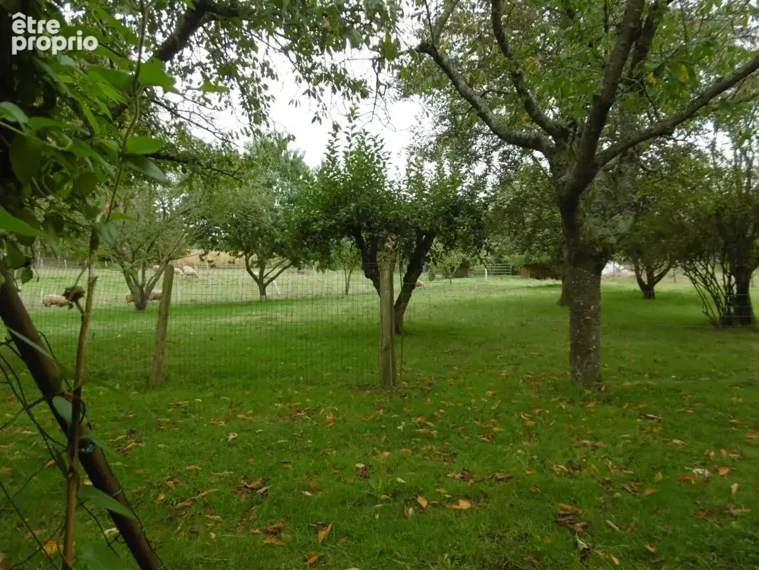 maison au calme avec 5 hectares. 5 ch. 700 m2 de dépendances - photo 13