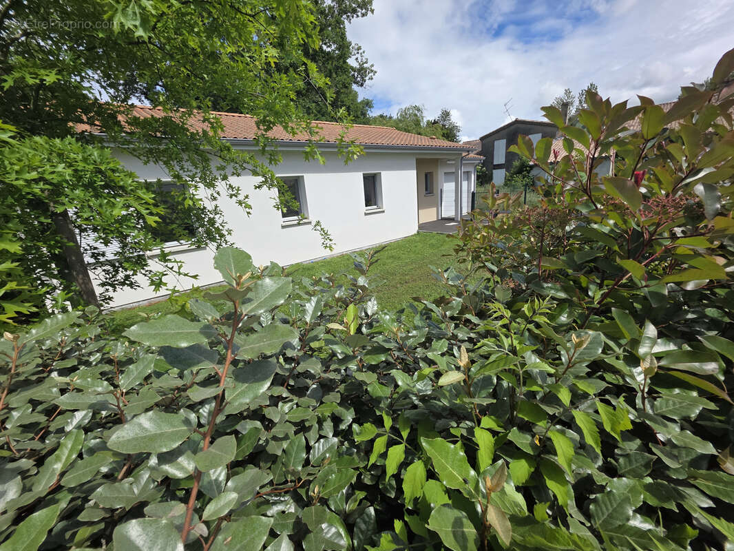 Maison à VAYRES